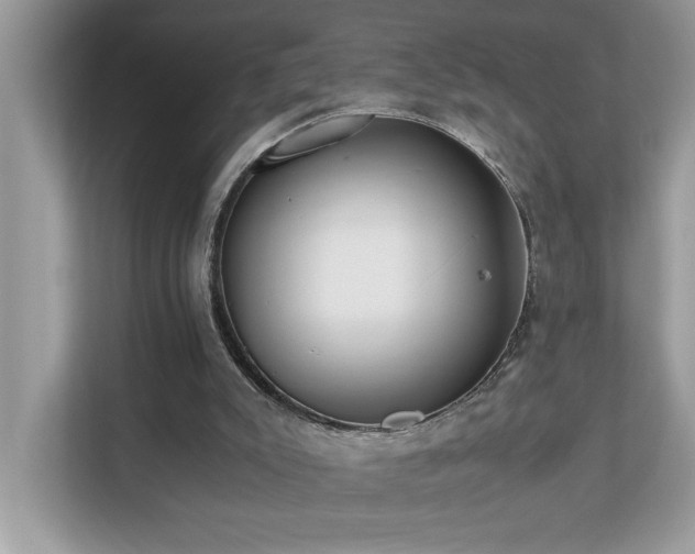 X0000110670007200906121319