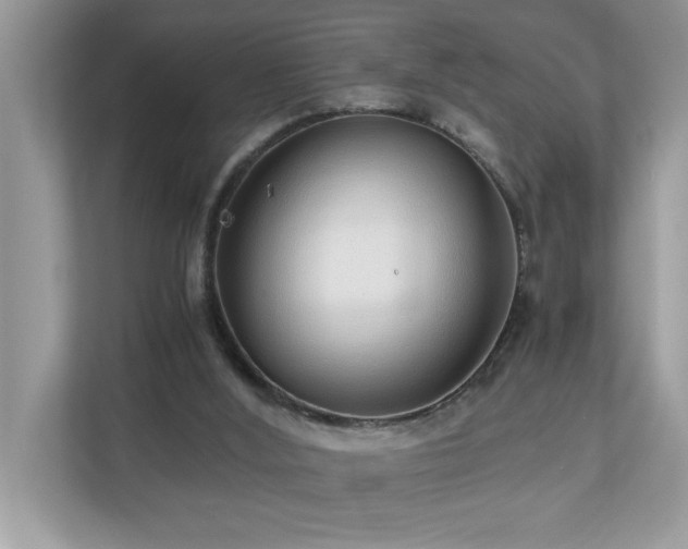 X0000110670012200906121319