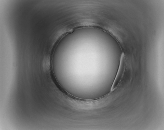 X0000110670015200906121319