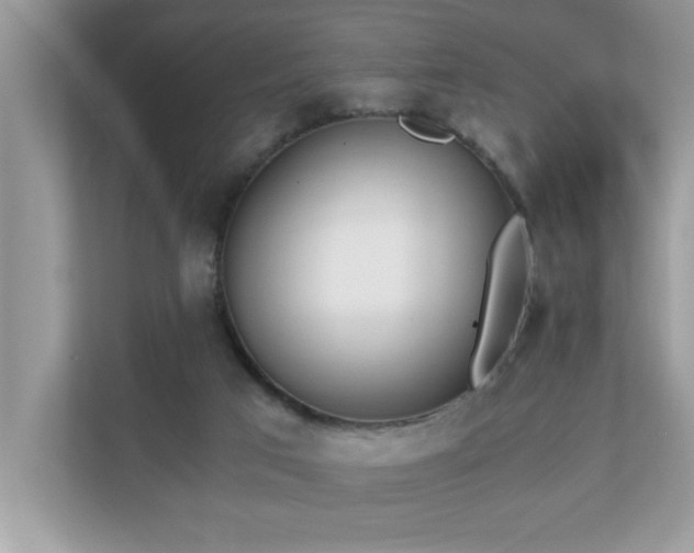 X0000110670017200906121319
