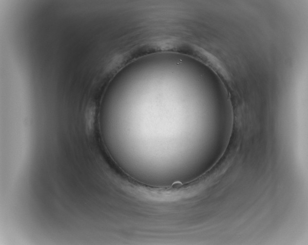 X0000110670018200906121319