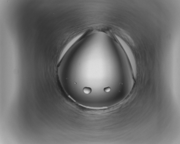 X0000110670025200906121319