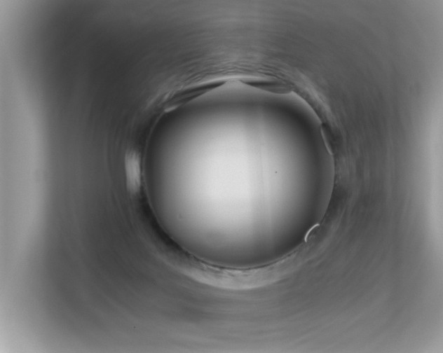 X0000110670027200906121319