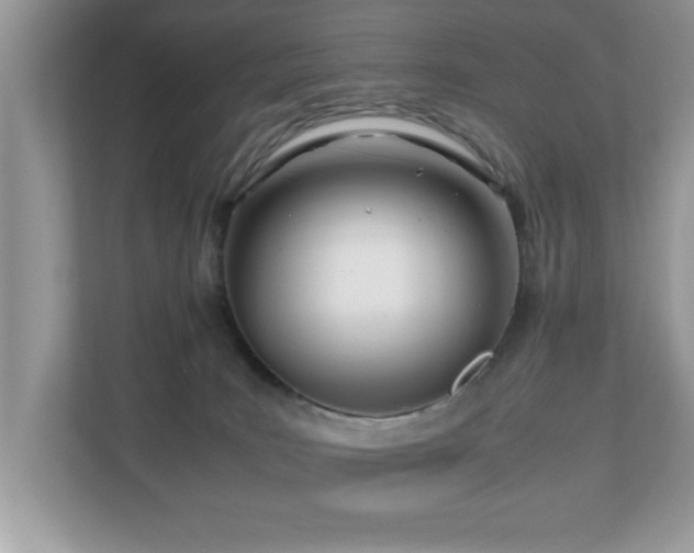 X0000110670035200906121319