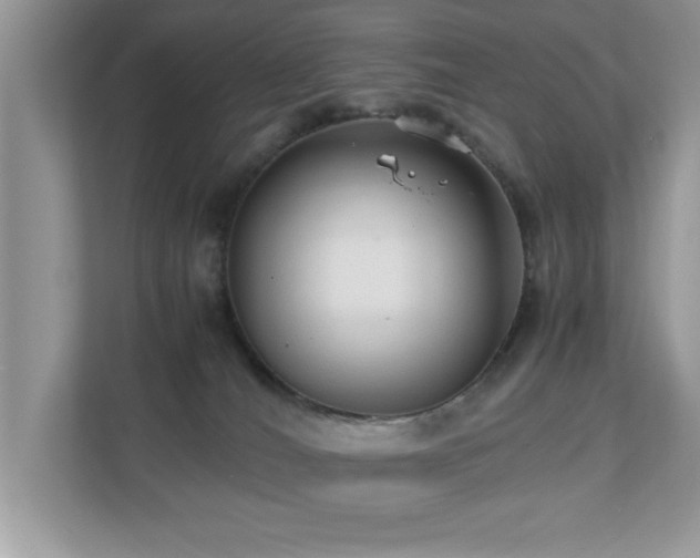 X0000110670036200906121319