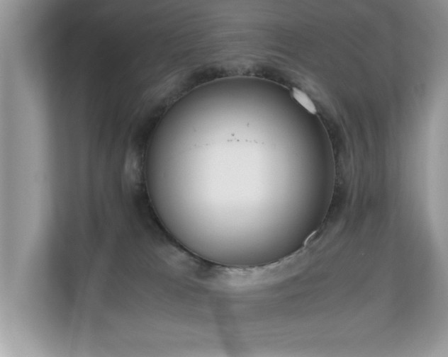 X0000110670037200906121319