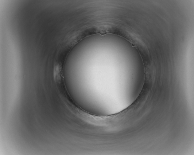 X0000110670038200906121318