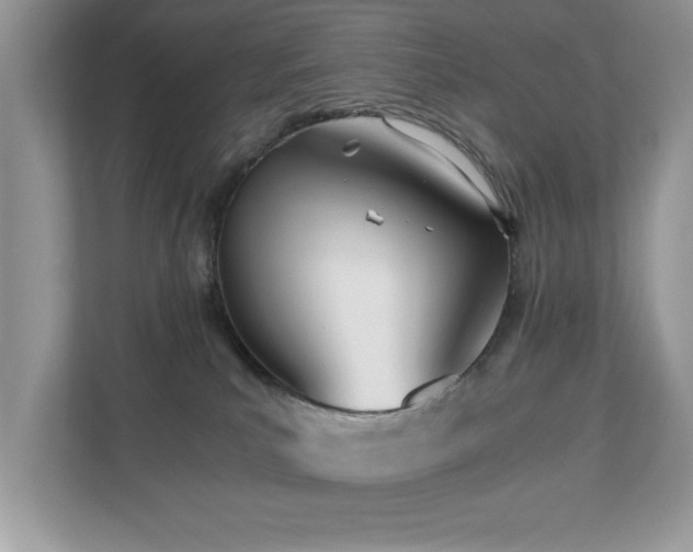 X0000110670039200906121318