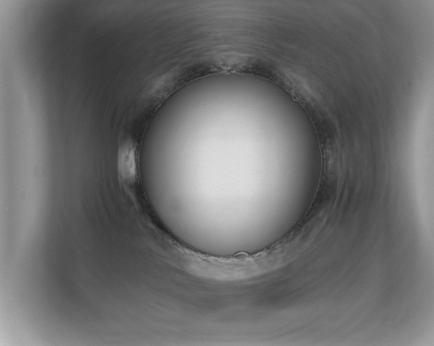 X0000110670042200906121318