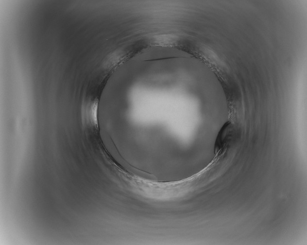X0000110670047200906121318