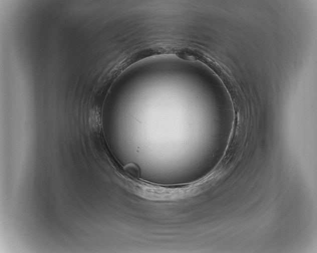 X0000110670048200906121318
