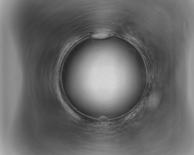 X0000110670049200906121318