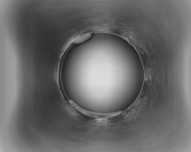 X0000110670052200906121318