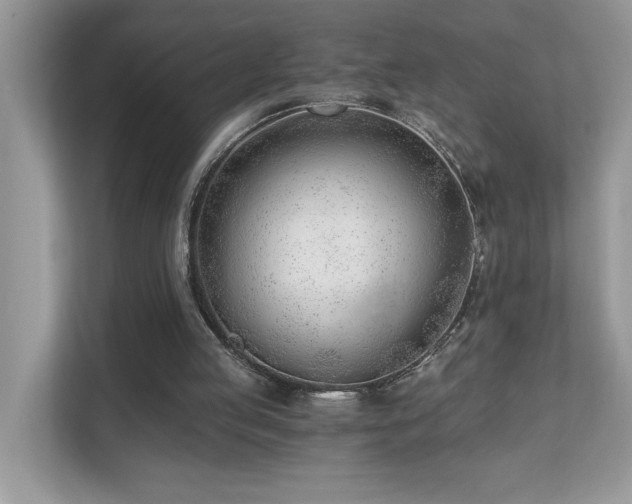 X0000110670053200906121318