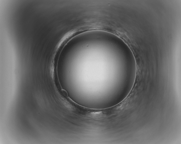 X0000110670054200906121318