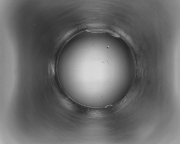 X0000110670062200906121318
