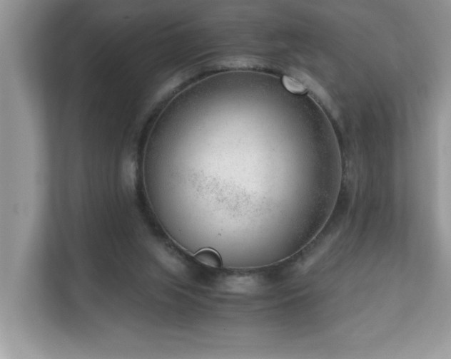 X0000110670063200906121318