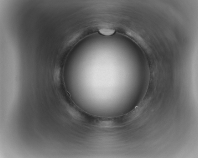 X0000110670066200906121318