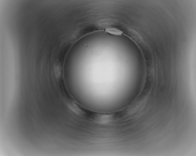 X0000110670081200906121318