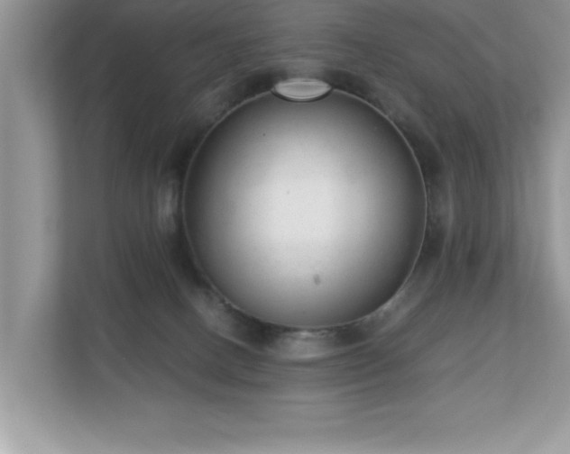 X0000110670082200906121318