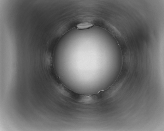 X0000110670083200906121318