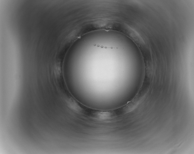 X0000110670085200906121318