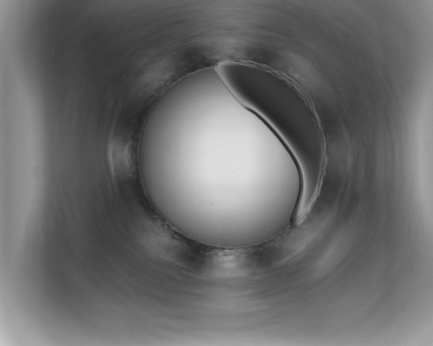 X0000110670088200906121318