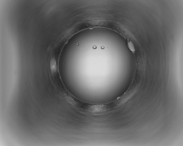 X0000110670089200906121318