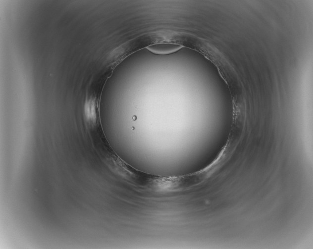 X0000110670094200906121318