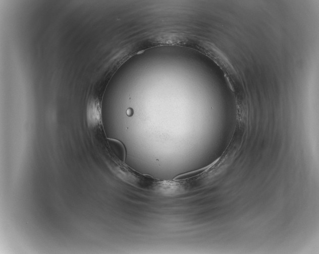 X0000110670095200906121318