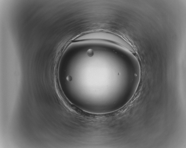 X0000110670097200906121318