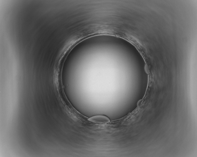 X0000110670098200906121318