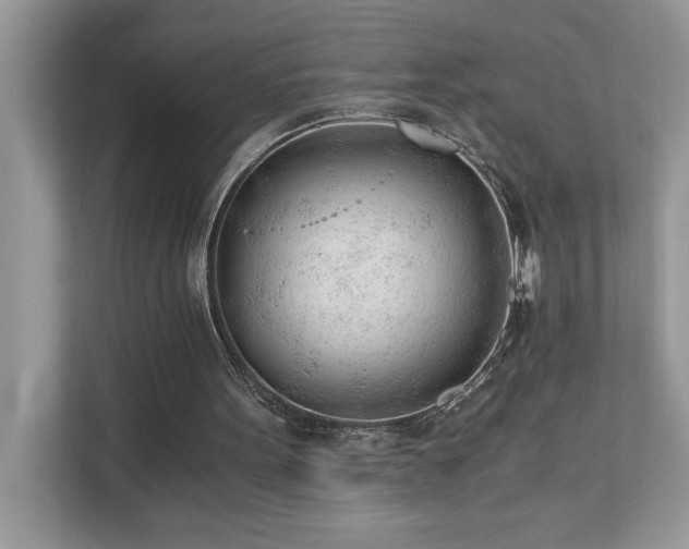 X0000110670099200906121318