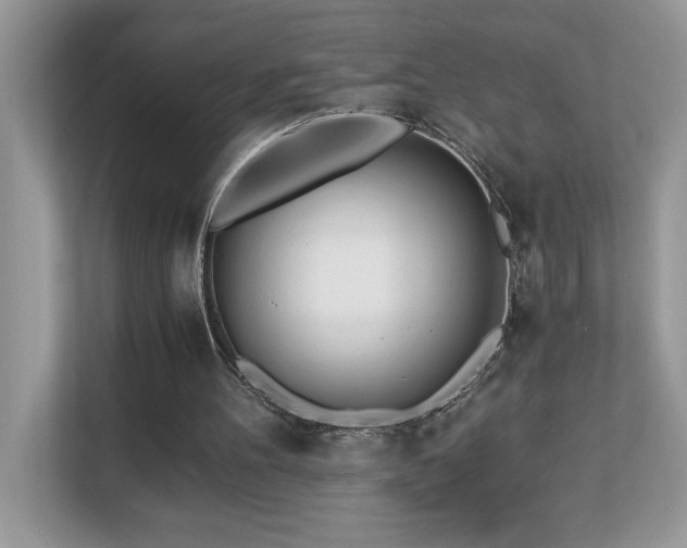 X0000110670100200906121318