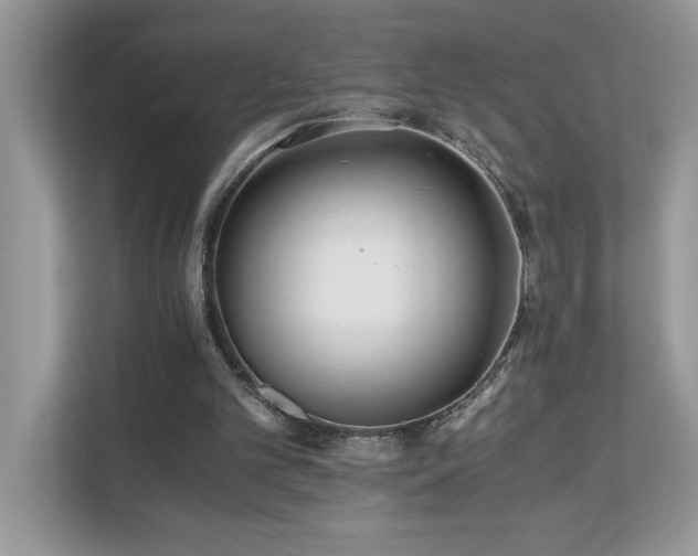 X0000110670101200906121318