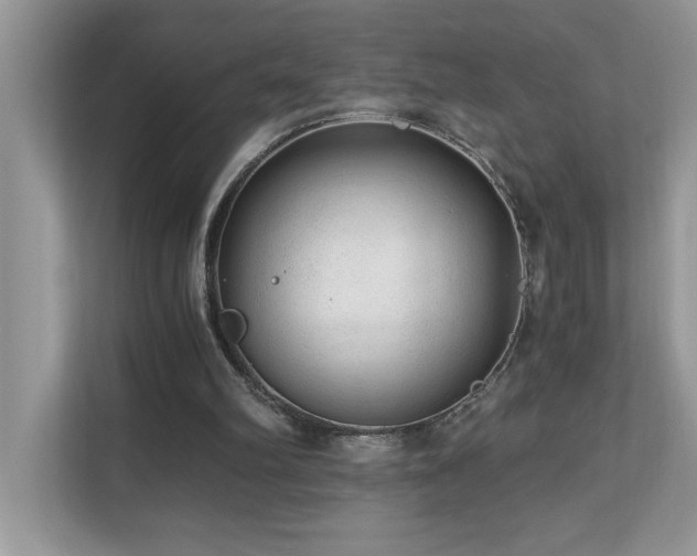 X0000110670102200906121318