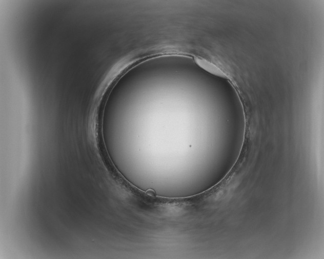 X0000110670103200906121318