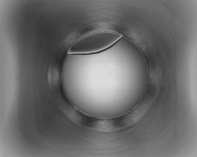 X0000110670117200906121317