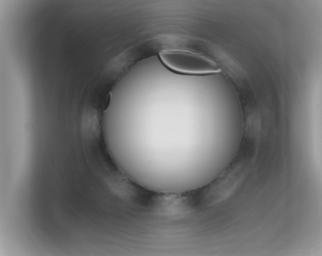 X0000110670121200906121317