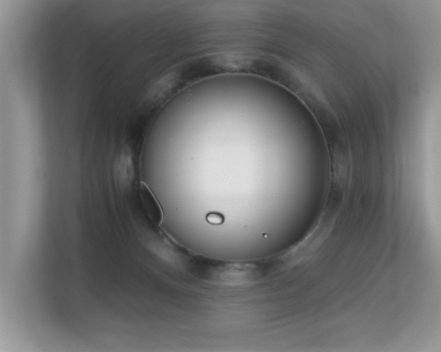 X0000110670128200906121317