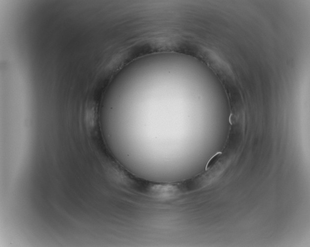 X0000110670133200906121317