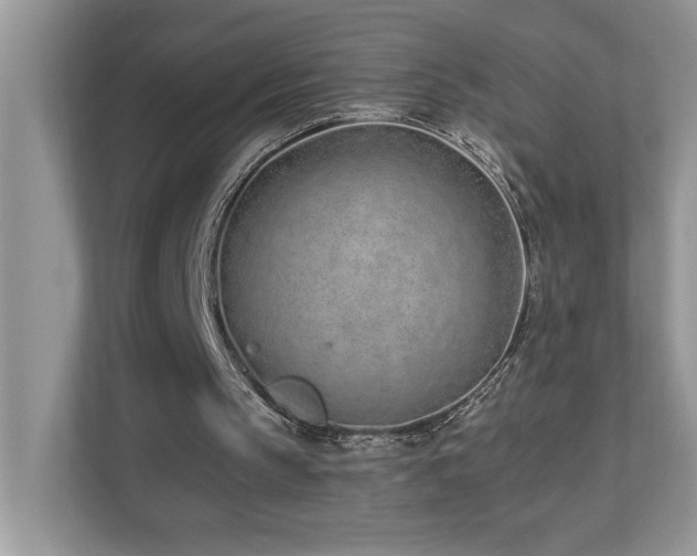 X0000110670145200906121316