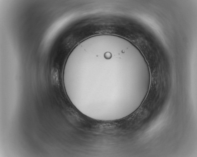 X0000110670146200906121317