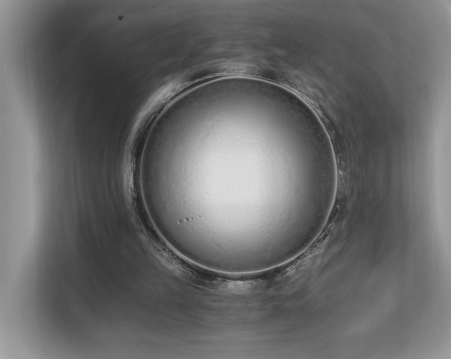 X0000110670149200906121317