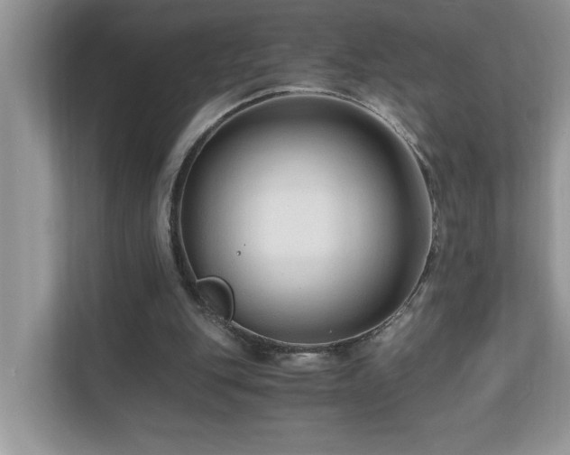 X0000110670151200906121317