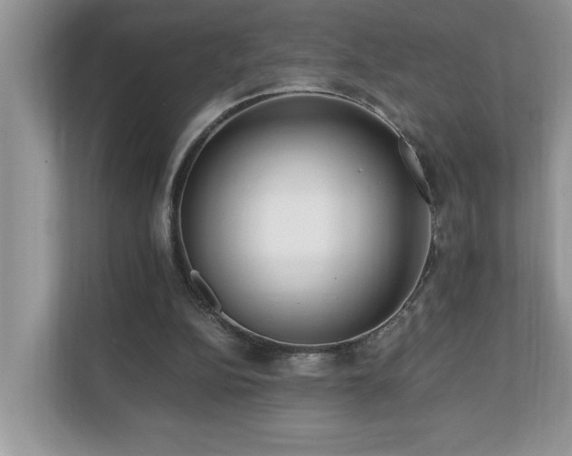 X0000110670152200906121317