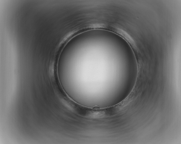 X0000110670155200906121317