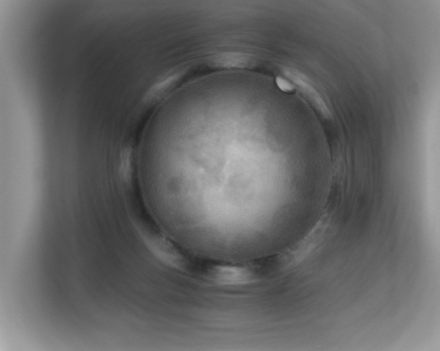 X0000110670167200906121317