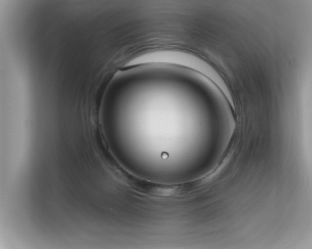 X0000110670170200906121317