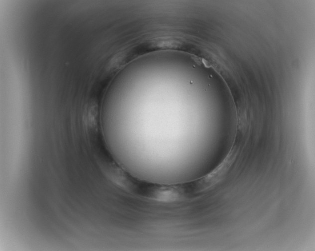 X0000110670175200906121317